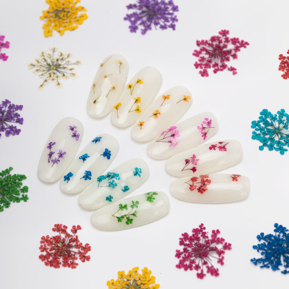 Ukážka sušených kvetov na nechty